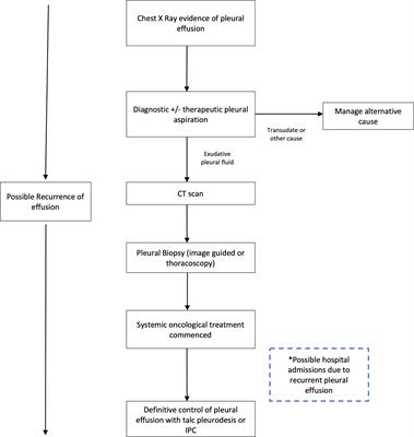 Malignant pleural effusion: Updates in diagnosis, management and current challenges